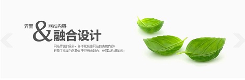 23个功能强大的jQuery/CSS3图片特效插件